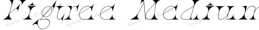Figtree Medium Itali字体转换